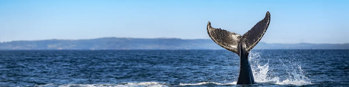 Charlevoix - Baie-Sainte-Catherine