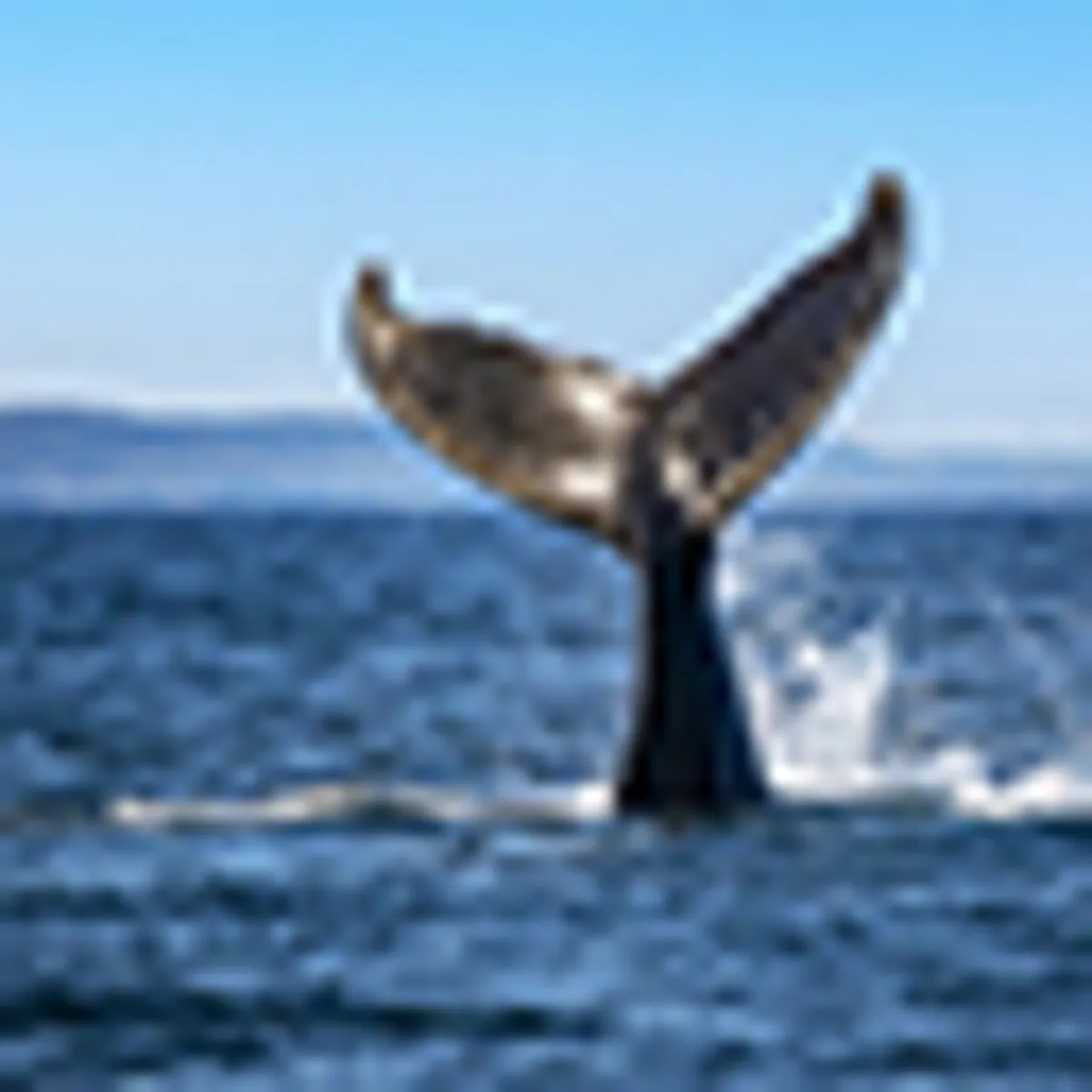 Ville de Québec et Château Frontenac